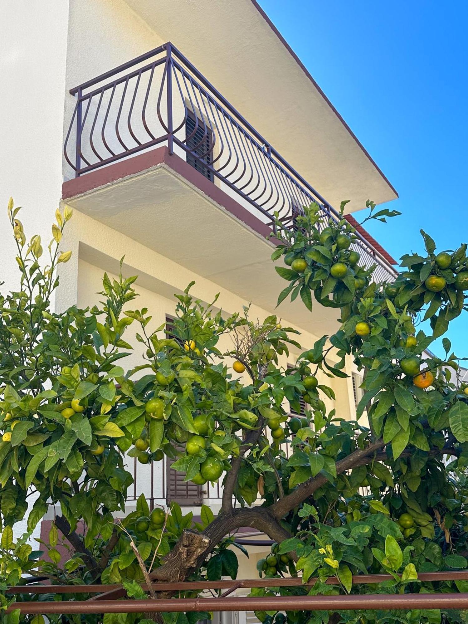 Niko Apartments 드레베니크 외부 사진